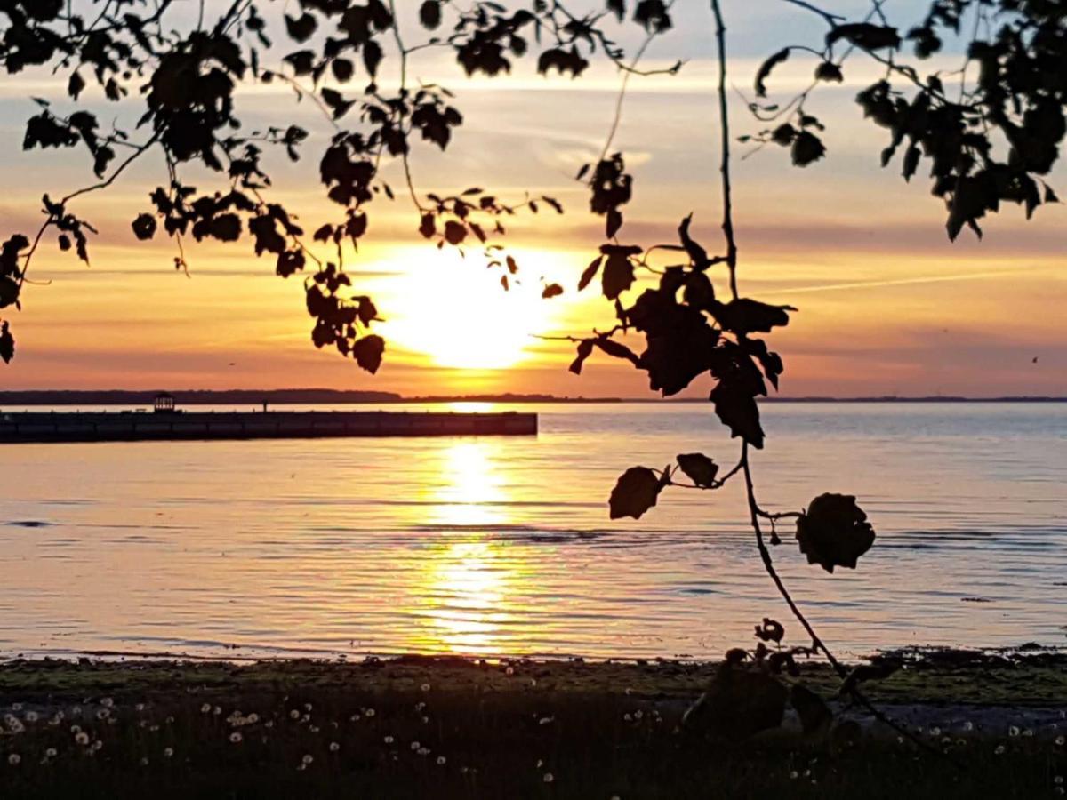 Ferienhaus Extrazeit_Urlaub Hasselberg  Eksteriør billede